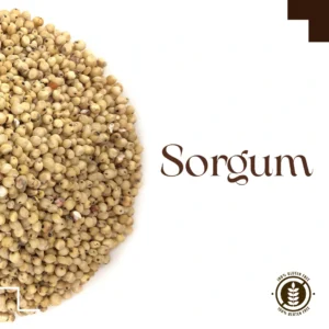 Toptan Sorgum