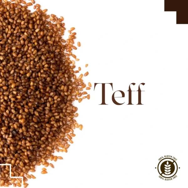 Toptan Teff